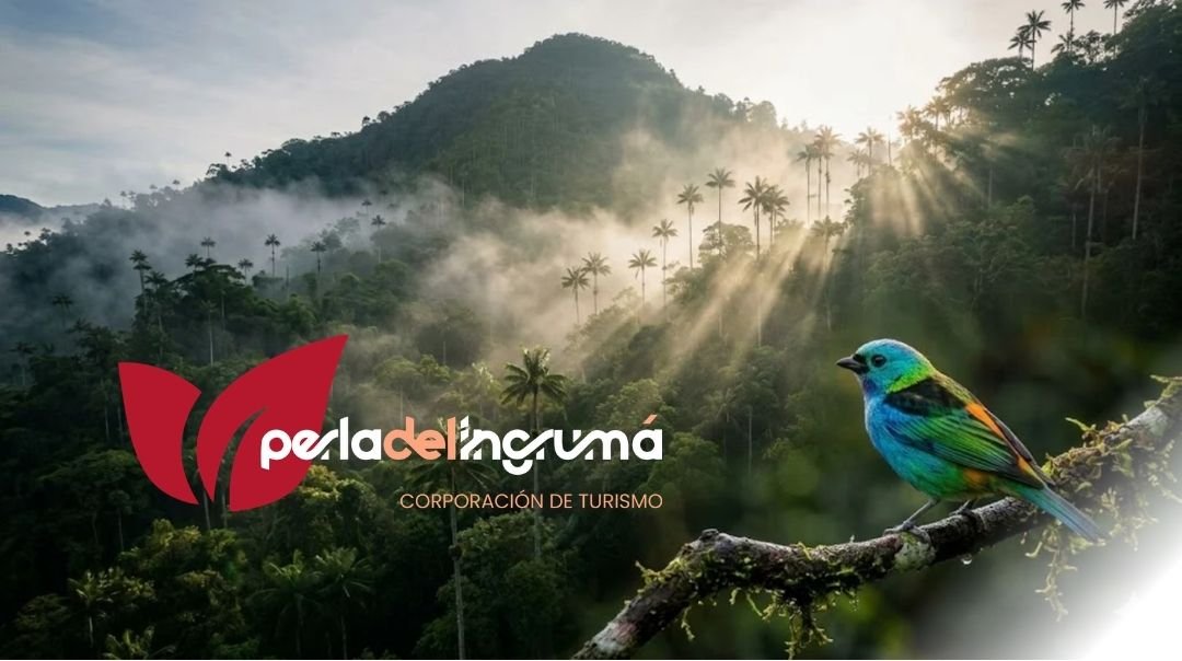 Aviturismo & Cerro Ingrumá